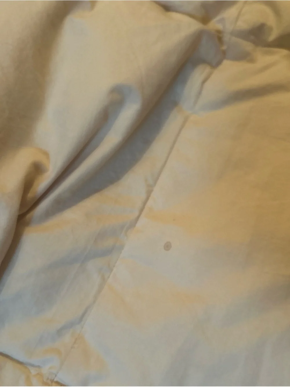 Twin size 80x 68  Cotton Goose Down Filled Comforter Box Stitch fluffy beige